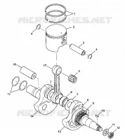 VILEBREQUIN AND PISTON