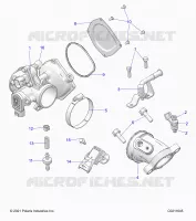ENGINE, CORPS DE PAPILON AND FUEL RAIL