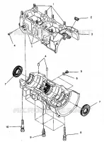 CARTERS MOTEUR ASSEMBLY CLASSIC 0942865 (4924962496038A)