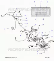 ELECTRICITE, HARNESS