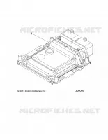 ELECTRICITE, ECM
