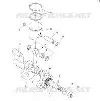 PISTON AND VILEBREQUIN STAR (4915431543024A)