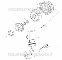 STATOR