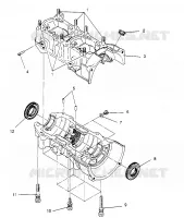 CARTERS MOTEUR 500 CARB 0962764, 500 CARB SKS 0962564,  EUROPEAN 500 CARB SKS E9 (4931873187C011)