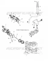 CORPS DE PAPILLON and INJECTOR
