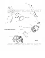 CORPS DE PAPILLON AND FUEL RAIL