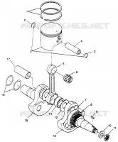 VILEBREQUIN AND PISTON (300) XPRESS 300 W969530 (4935923592D003)