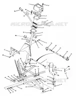DIRECTION Trail Blazer / W927221 (4922852285011A)