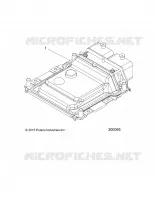 ELECTRICITE, ECM