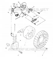 STATOR   Indy Lite (4919311931029A)