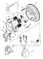 STATOR ASSEMBLY Trail Boss W938527 (4924072407031A)