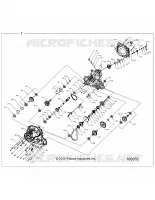 DRIVE TRAIN, PONT PRINCIPAL