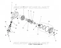 INTERNALS, CARTER AVANT