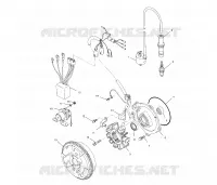 STATOR
