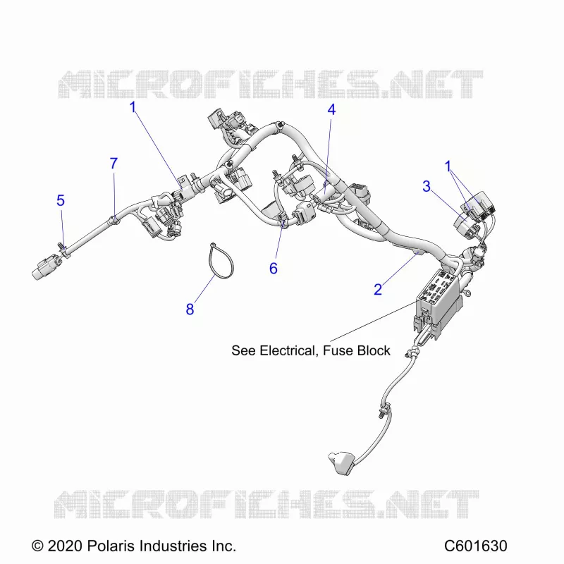 ELECTRICITE, WIRE HARNESS, MAIN