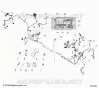 ELECTRICITE, WIRE HARNESS