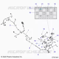 ELECTRICITE, WIRE HARNESS