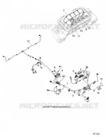 ELECTRICITE, HARNESS