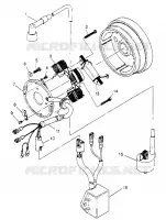 STATOR ASSEMBLY Trail Blazer W957221 (4930363036C009)