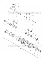PISTON AND VILEBREQUIN (TRAIL) (4909500950033A)