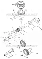 VILEBREQUIN AND PISTON MAGNUM 2X4 W967544 (4936033603C010)