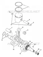 VILEBREQUIN AND PISTON