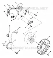 STATOR Trail (4916831683028A)