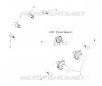 AMPOULES