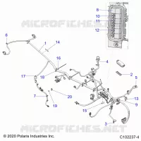 ELECTRICITE, HARNESS