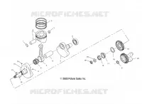 VILEBREQUIN AND PISTON