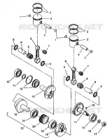 PISTON ET VILEBREQUIN SPORT SKS E940243 (49273627360029)
