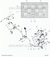 ELECTRICITE, WIRE HARNESS