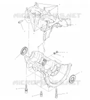 CARTERS MOTEUR ASSEMBLY