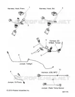 ELECTRICITE, JUMPERS/WIRE HARNESS