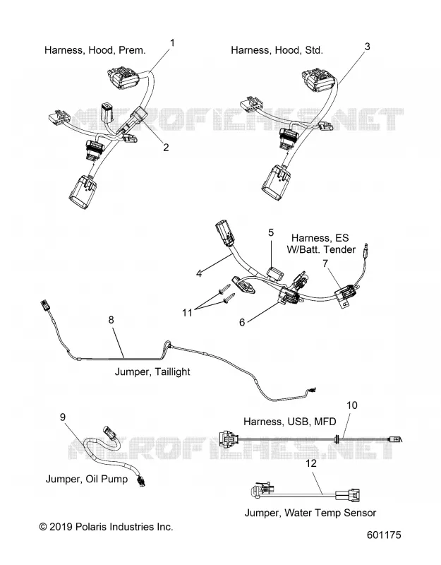 ELECTRICITE, JUMPERS/WIRE HARNESS