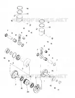 PISTON AND VILEBREQUIN  TRAIL (4919281928027A)