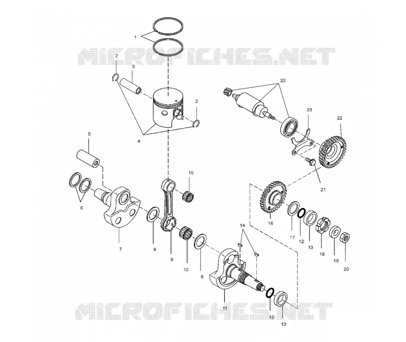 VILEBREQUIN AND PISTON