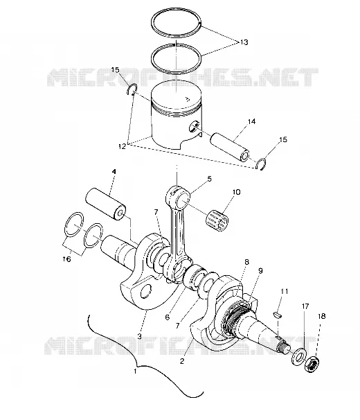 VILEBREQUIN AND PISTON ASSEMBLY (4914891489032A)
