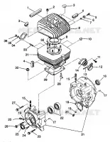 CARTERS MOTEUR AND CYLINDRE TRAIL BOSS W938527 (4924072407029A)