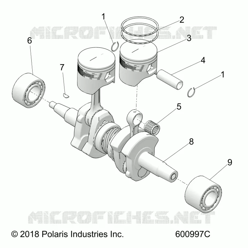 ENGINE, PISTON AND VILEBREQUIN
