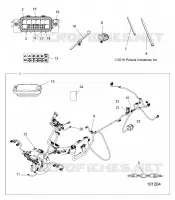ELECTRICITE, HARNESS
