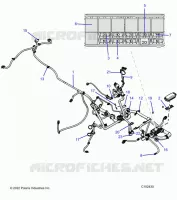 ELECTRICITE, HARNESS