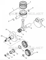 VILEBREQUIN AND PISTON SPORTSMAN 500 W969244 AND SWEDISH SPORTSMAN 500 S9692 (4936093609D004)