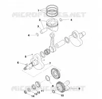 VILEBREQUIN AND PISTON