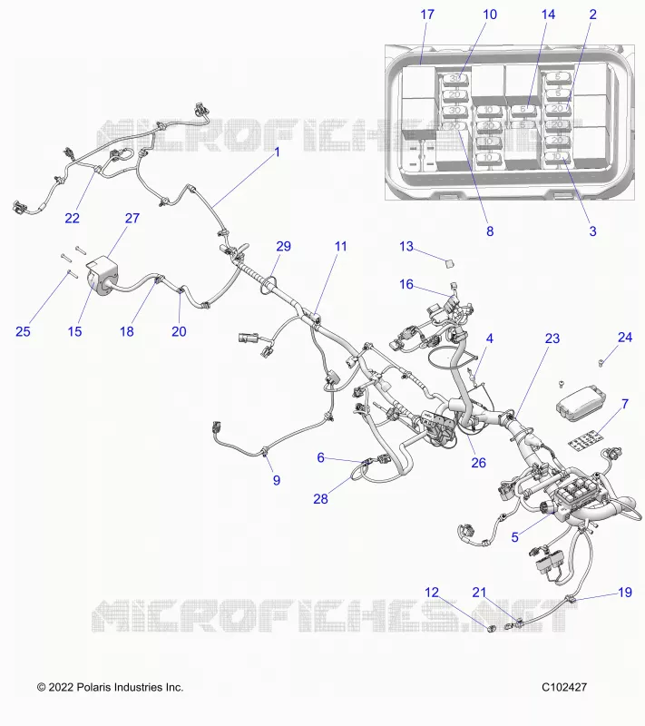 ELECTRICITE, HARNESS