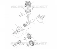 VILEBREQUIN AND PISTON