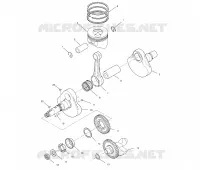VILEBREQUIN AND PISTON