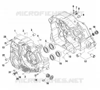 CARTERS MOTEUR