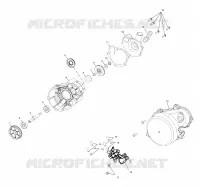 POMPE A EAU / POMPE A HUILE