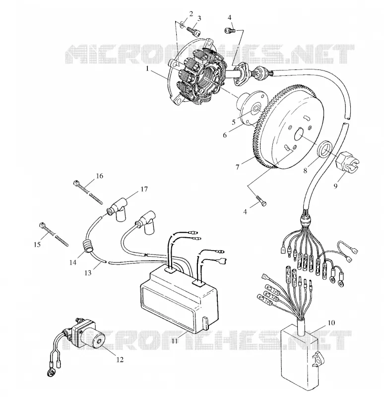 STATOR